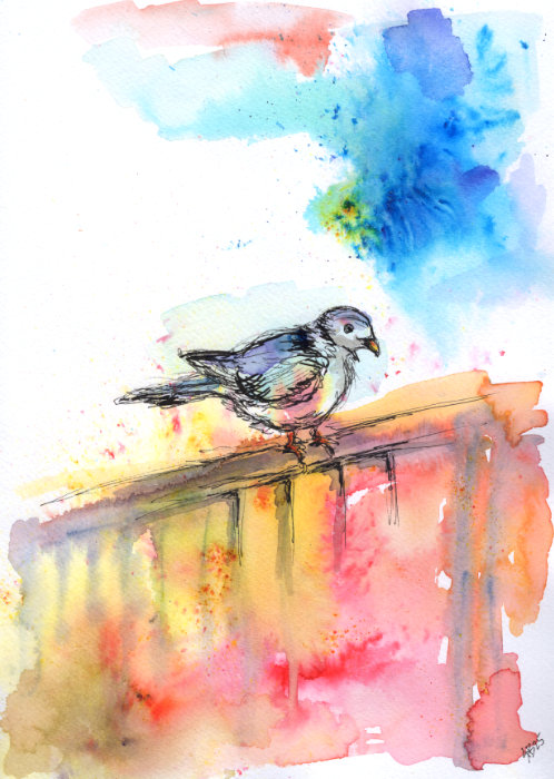 A paint powder, watercolour and pen experiment by Ruth Burton Artist. The picture shows a young pigeon sitting on a fence, surrounded by splashes of Colourcraft powder colour.