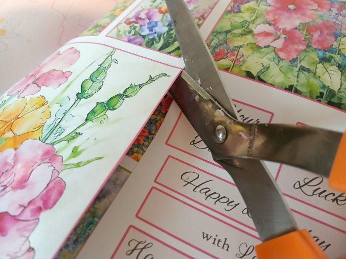 A photo showing some scissors cutting out one of the summer flower pictures in the card making book by Kay Burton.