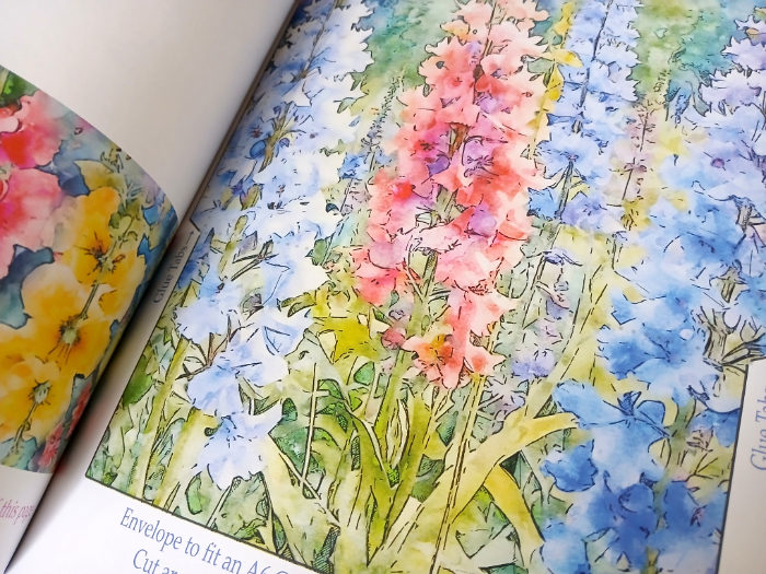 An inside view of one of the pages of "Summer Flowers" by Kay Burton.