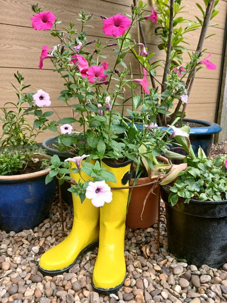 A photograph of the wellington boots garden planter sprayed yellow by Ruth Burton Artist.