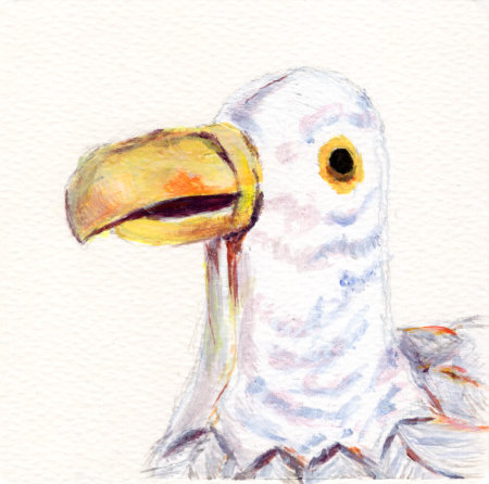 An acrylic painting of Seaweed the seagull by Ruth Burton Artist.