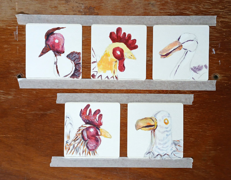 The five bird portrait paintings after more colours have been added, by Ruth Burton.