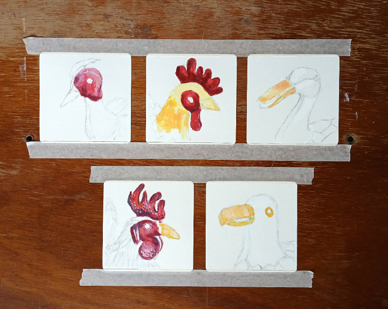 The five bird portrait paintings after the first few layers of acrylic paint, by Ruth Burton.