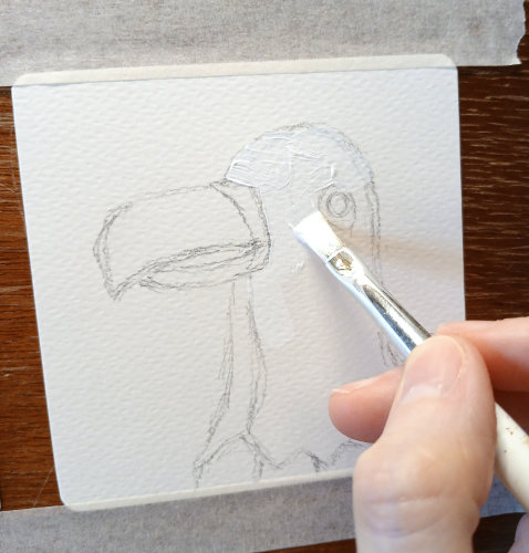 Adding white acrylic paint to the seagull sketch by Ruth Burton Artist.