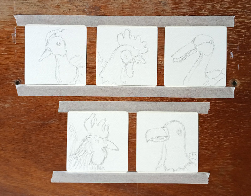 Five bird portrait pencil drawing sketches by Ruth Burton Artist.